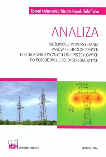 Analiza możliwości wykorzystania pasów technolog.