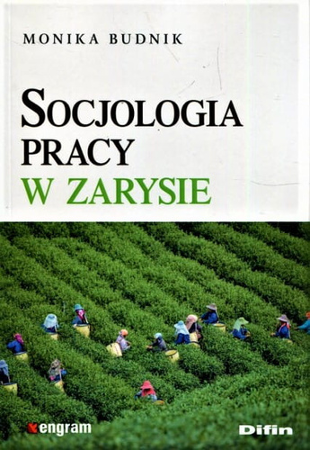 Socjologia pracy w zarysie