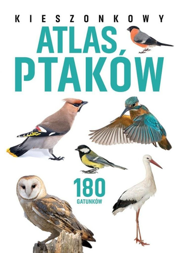Kieszonkowy atlas ptaków. 180 gatunków
