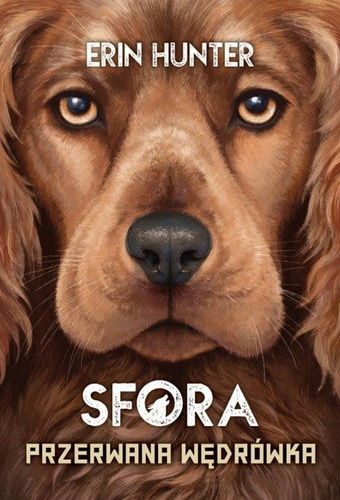 Sfora. Tom 4. Przerwana wędrówka