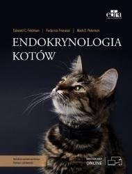 Endokrynologia kotów