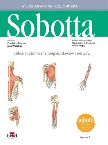 Tablice anatomiczne mięśni, stawów i nerwów