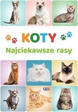 Koty. Najciekawsze rasy
