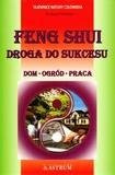 Feng Shui. Droga do sukcesu