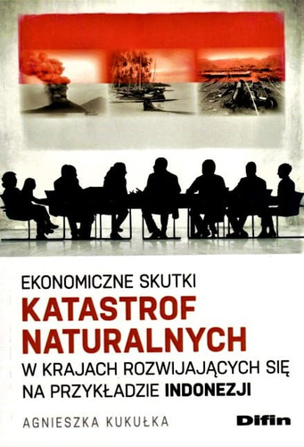 Ekonomiczne skutki katastrof naturalnych w krajach rozwijających się na przykładzie Indonezji