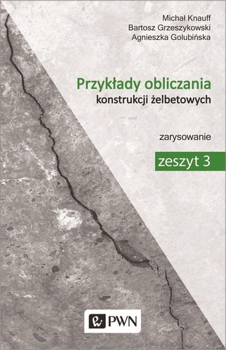 Przykłady obliczania konstrukcji żelbetowych 3