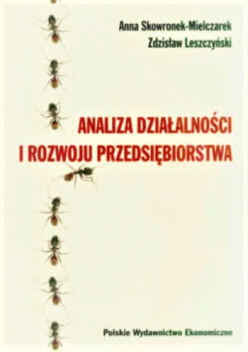 Analiza działalności i rozwoju przedsiębiorstwa