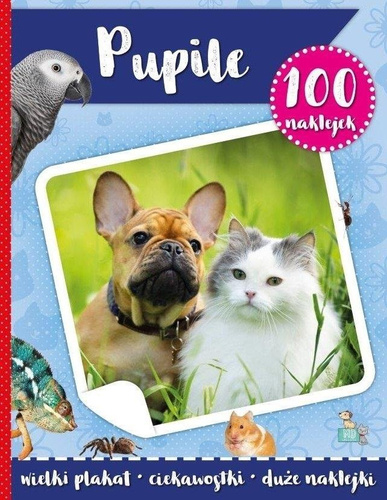 100 naklejek z plakatem. Pupile