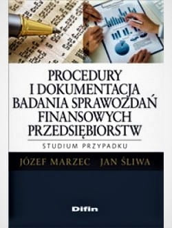 Procedury i dokumentacja badania sprawozdań finansowych przedsiębiorstw. Studium przypadku