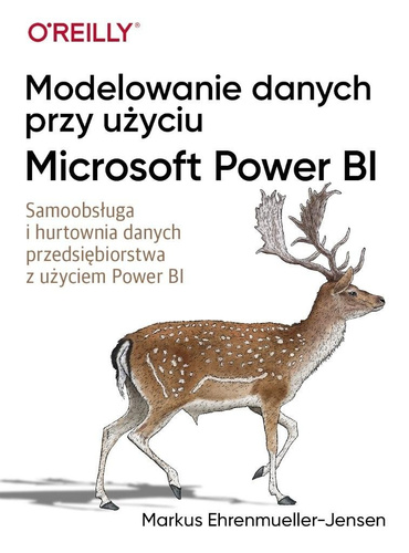 Modelowanie danych przy użyciu Microsoft Power BI