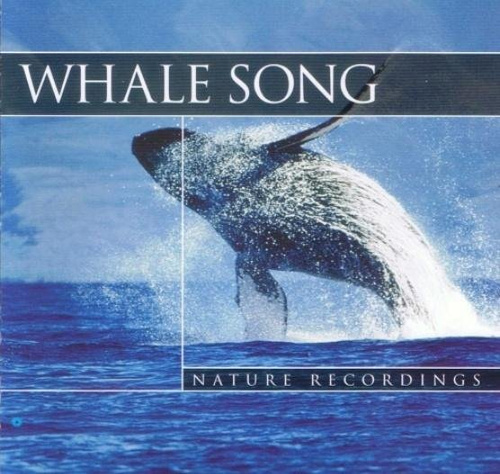 Whale Song - Wieloryby CD