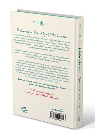 Flaw(less). Opowiedz mi naszą historię. Wydanie ilustrowane