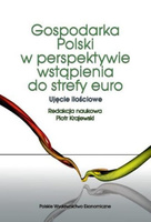 Gospodarka Polski w perspektywie wstąpienia do strefy euro. Ujęcie ilościowe