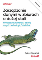 Zarządzanie danymi w zbiorach o dużej skali. Nowoczesna architektura z siatką danych i technologią Data Fabric. Wydanie II