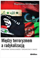 Między terroryzmem a radykalizacją. Specyfika działalności organizacji Daesz