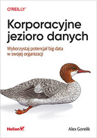 Korporacyjne jezioro danych. Wykorzystaj potencjał big data w swojej organizacji