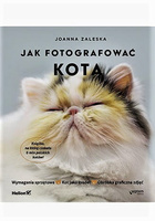Jak fotografować kota