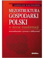Mezostruktura gospodarki Polski w okresie transformacji. Uwarunkowania, procesy, efektywność