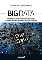 Big Data. Najlepsze praktyki budowy skalowalnych systemów obsługi danych w czasie rzeczywistym