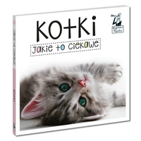 Jakie to ciekawe. Kotki. Kapitan Nauka