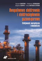 Dwupaliwowe elektrownie i elektrociepłownie...